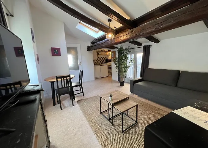 Studio Cosy Hyper Centre Grenoble